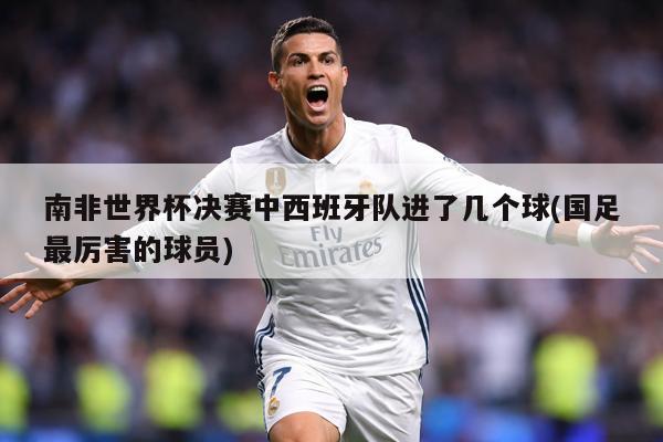 南非世界杯决赛中西班牙队进了几个球(国足最厉害的球员)