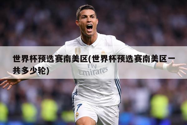 世界杯预选赛南美区(世界杯预选赛南美区一共多少轮)