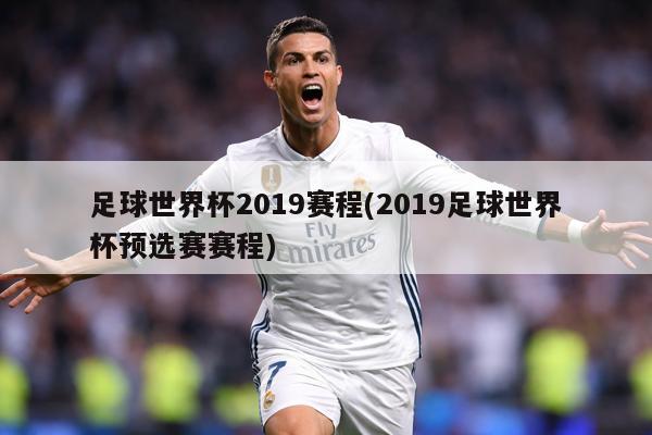 足球世界杯2019赛程(2019足球世界杯预选赛赛程)