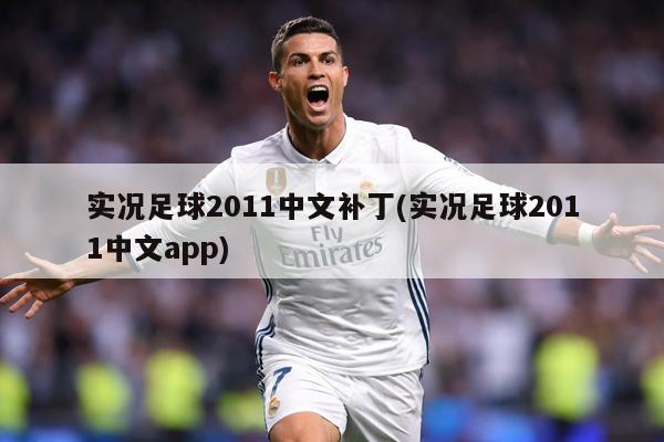 实况足球2011中文补丁(实况足球2011中文app)