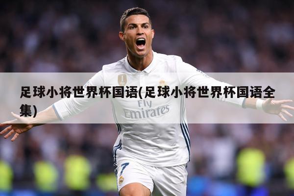足球小将世界杯国语(足球小将世界杯国语全集)