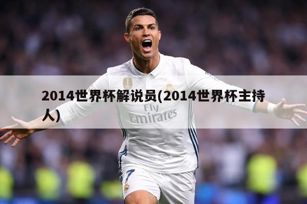 2014世界杯解说员(2014世界杯主持人)